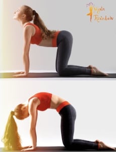 International Yoga Day: Learning 7 Easy Yoga Poses With Quality Benefits! 2 international yoga day